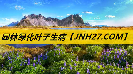 园林绿化叶子生病