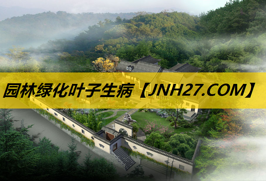 园林绿化叶子生病