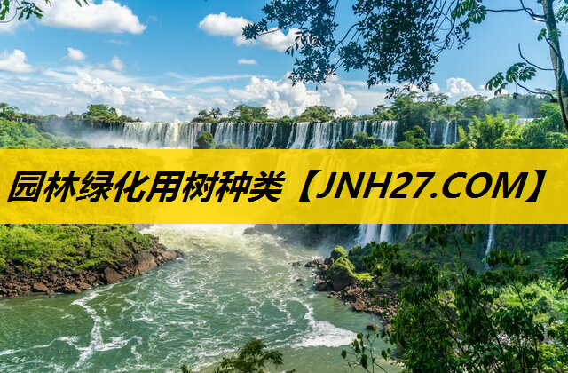 园林绿化用树种类