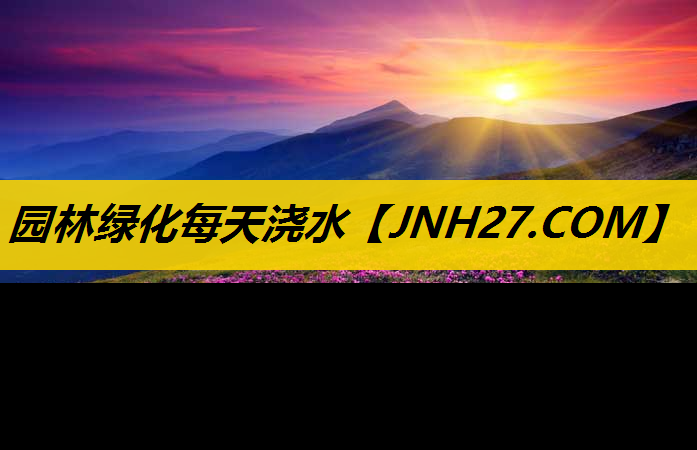 园林绿化每天浇水