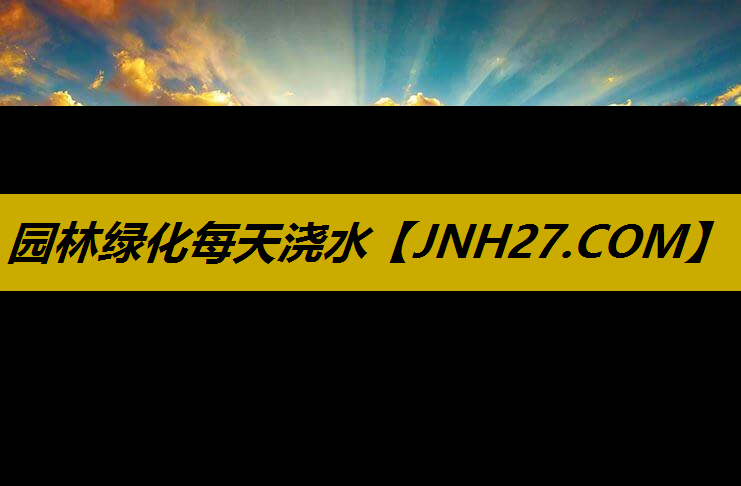 园林绿化每天浇水